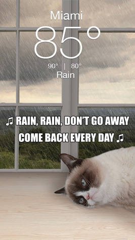 Grumpy Screenshot 2