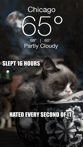 Grumpy Screenshot 3