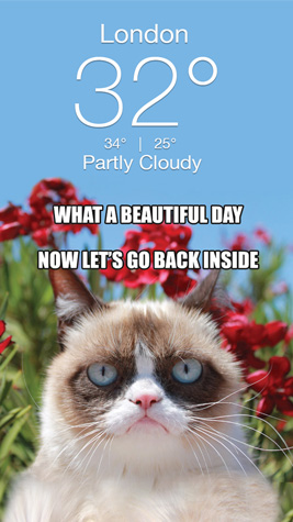 Grumpy Screenshot 6